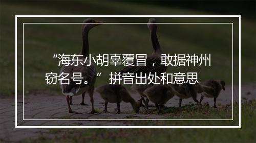 “海东小胡辜覆冒，敢据神州窃名号。”拼音出处和意思