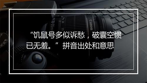 “饥鼠号多似诉愁，破囊空惯已无羞。”拼音出处和意思