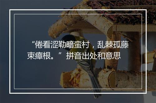 “倦看涩勒暗蛮村，乱棘孤藤束瘴根。”拼音出处和意思