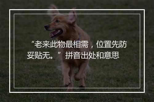 “老来此物最相需，位置先防妥贴无。”拼音出处和意思