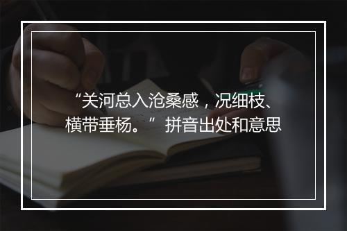 “关河总入沧桑感，况细枝、横带垂杨。”拼音出处和意思