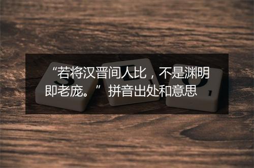 “若将汉晋间人比，不是渊明即老庞。”拼音出处和意思