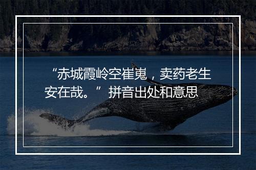 “赤城霞岭空崔嵬，卖药老生安在哉。”拼音出处和意思