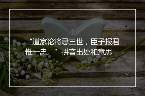 “道家论将忌三世，臣子报君惟一忠。”拼音出处和意思