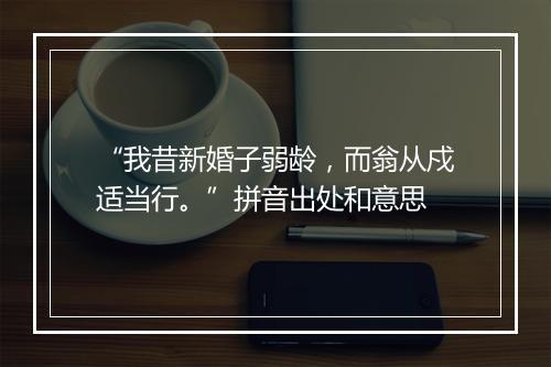 “我昔新婚子弱龄，而翁从戍适当行。”拼音出处和意思