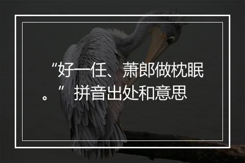 “好一任、萧郎做枕眠。”拼音出处和意思