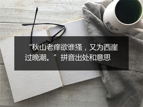 “秋山老痒欲谁搔，又为西崖过晚潮。”拼音出处和意思