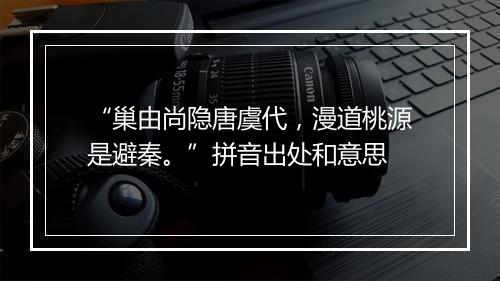 “巢由尚隐唐虞代，漫道桃源是避秦。”拼音出处和意思