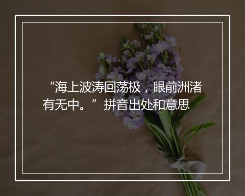 “海上波涛回荡极，眼前洲渚有无中。”拼音出处和意思