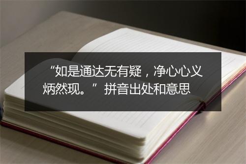 “如是通达无有疑，净心心义炳然现。”拼音出处和意思