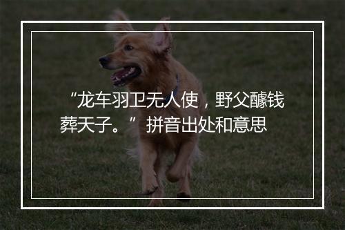 “龙车羽卫无人使，野父醵钱葬天子。”拼音出处和意思