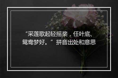 “采莲歌起轻摇桨，任叶底、鸳鸯梦好。”拼音出处和意思