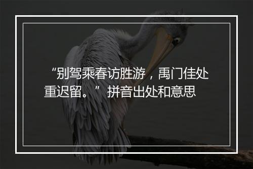 “别驾乘春访胜游，禹门佳处重迟留。”拼音出处和意思