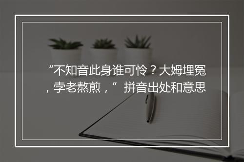 “不知音此身谁可怜？大姆埋冤，孛老熬煎，”拼音出处和意思