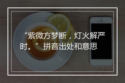 “紫微方梦断，灯火解严时。”拼音出处和意思