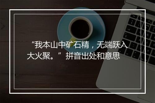 “我本山中矿石精，无端跃入大火聚。”拼音出处和意思