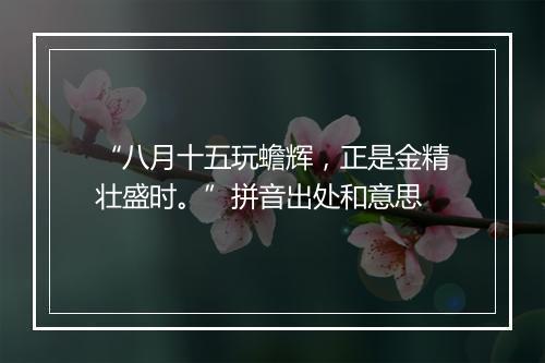 “八月十五玩蟾辉，正是金精壮盛时。”拼音出处和意思