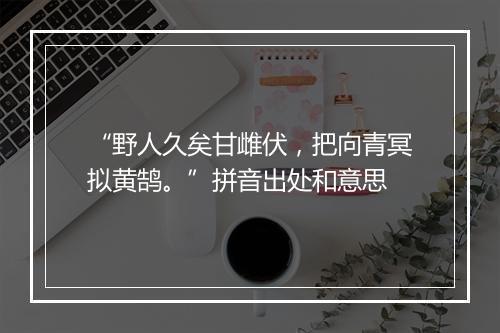 “野人久矣甘雌伏，把向青冥拟黄鹄。”拼音出处和意思