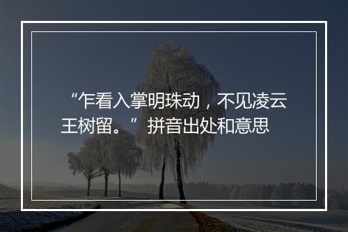 “乍看入掌明珠动，不见凌云王树留。”拼音出处和意思