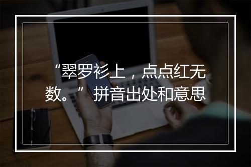 “翠罗衫上，点点红无数。”拼音出处和意思