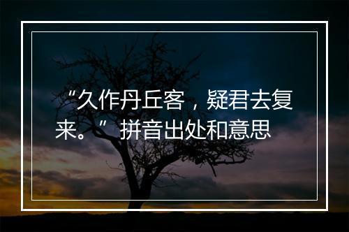 “久作丹丘客，疑君去复来。”拼音出处和意思