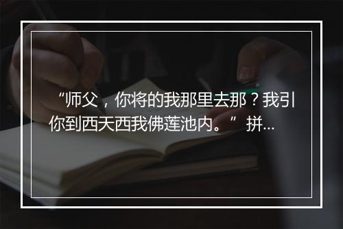 “师父，你将的我那里去那？我引你到西天西我佛莲池内。”拼音出处和意思