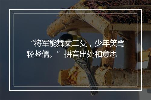 “将军能舞丈二殳，少年笑骂轻竖儒。”拼音出处和意思