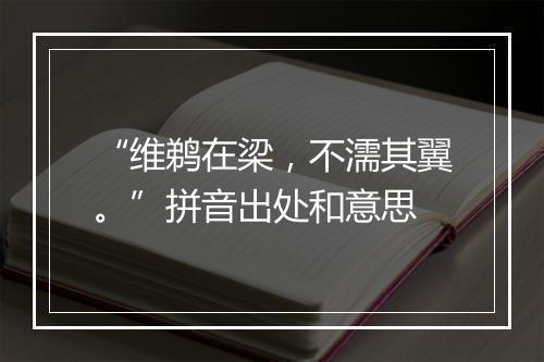 “维鹈在梁，不濡其翼。”拼音出处和意思