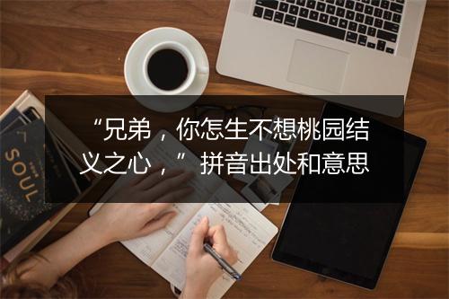 “兄弟，你怎生不想桃园结义之心，”拼音出处和意思