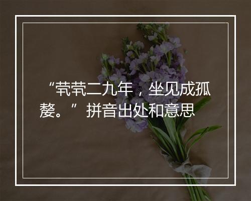 “茕茕二九年，坐见成孤嫠。”拼音出处和意思