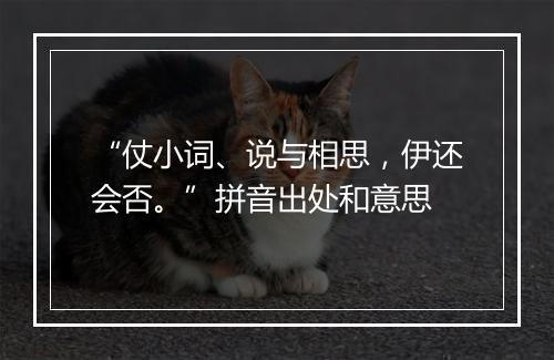 “仗小词、说与相思，伊还会否。”拼音出处和意思