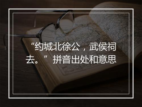 “约城北徐公，武侯祠去。”拼音出处和意思