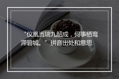 “仪凰当瑞九韶成，何事栖鸾滞碧城。”拼音出处和意思