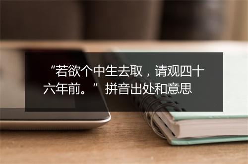 “若欲个中生去取，请观四十六年前。”拼音出处和意思