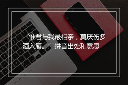 “惟君与我最相亲，莫厌伤多酒入唇。”拼音出处和意思