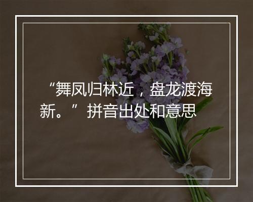 “舞凤归林近，盘龙渡海新。”拼音出处和意思