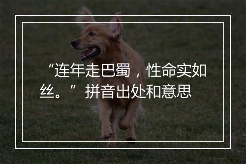 “连年走巴蜀，性命实如丝。”拼音出处和意思