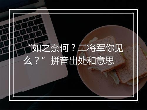 “如之奈何？二将军你见么？”拼音出处和意思