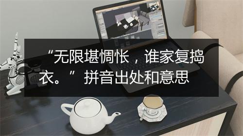 “无限堪惆怅，谁家复捣衣。”拼音出处和意思