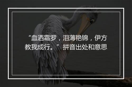 “血洒霜罗，泪薄艳锦，伊方教我成行。”拼音出处和意思