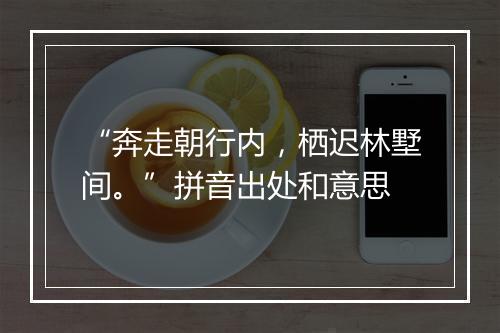 “奔走朝行内，栖迟林墅间。”拼音出处和意思