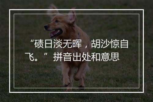 “碛日淡无晖，胡沙惊自飞。”拼音出处和意思