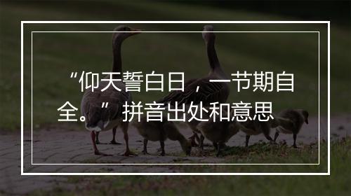 “仰天誓白日，一节期自全。”拼音出处和意思