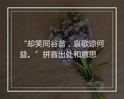 “却笑同谷翁，哀歌谅何益。”拼音出处和意思