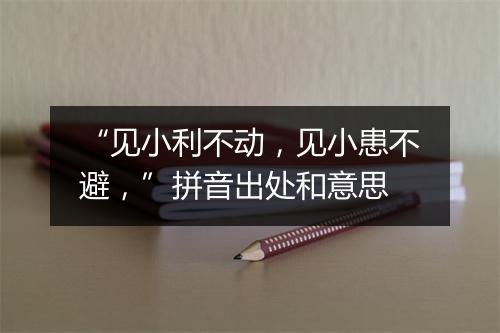 “见小利不动，见小患不避，”拼音出处和意思