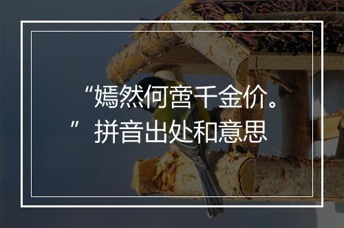 “嫣然何啻千金价。”拼音出处和意思