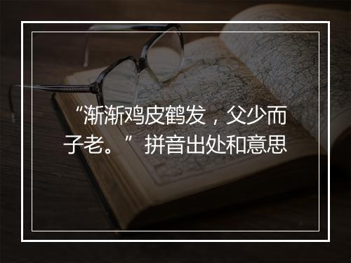 “渐渐鸡皮鹤发，父少而子老。”拼音出处和意思