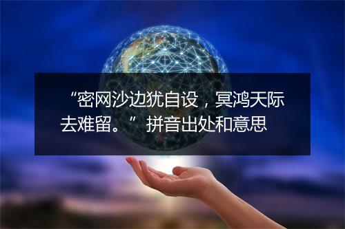 “密网沙边犹自设，冥鸿天际去难留。”拼音出处和意思