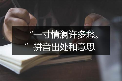 “一寸情澜许多愁。”拼音出处和意思