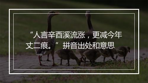 “人言辛酉溪流涨，更减今年丈二痕。”拼音出处和意思